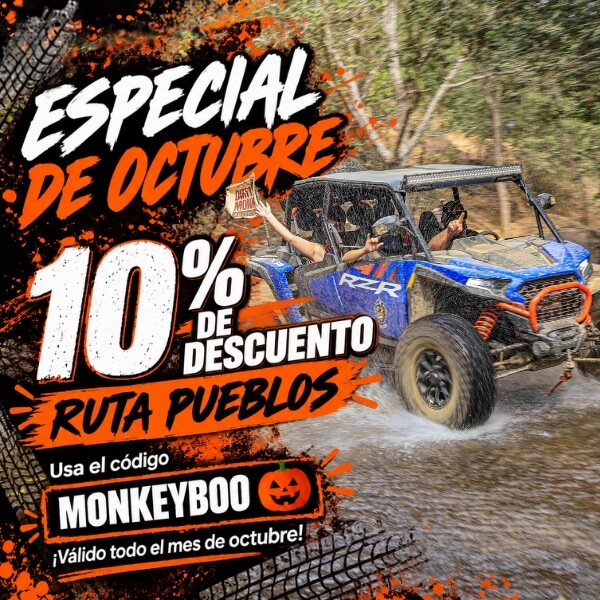 ¡Aventura con descuento! 🐒