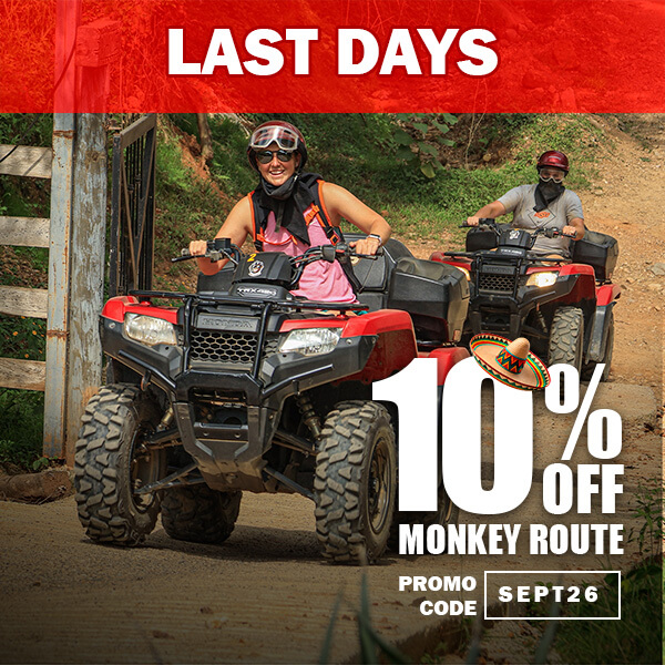 Adventure discount! 🐒