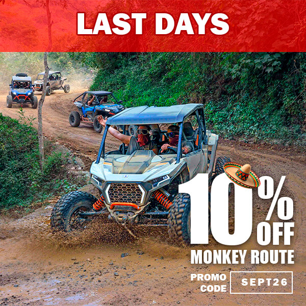 Adventure discount! 🐒