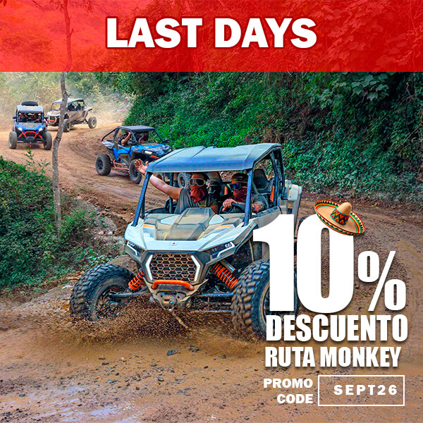 ¡Aventura con descuento! 🐒