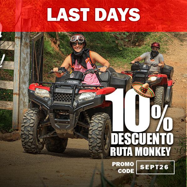 ¡Aventura con descuento! 🐒