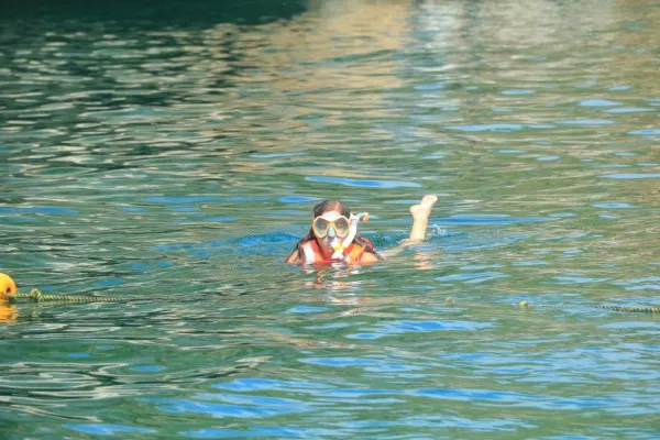 People enjoying a snorkeling tour in Puerto Vallarta, discovering vibrant marine life and crystal-clear waters.