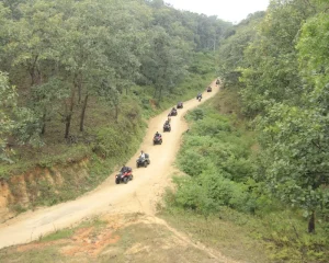A caravan of ATVs rides along a road surrounded by vegetation, a typical activity for those who Travel to Puerto Vallarta and seek outdoor experiences.