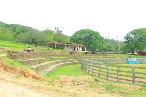 A wide area with dirt tracks and wooden fences serves as the route for an Off road ATV tour, with vehicles spread out across the natural setting.
