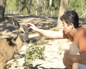 A man interacts with a deer in nature, experiencing calm and close moments during his outdoor experiences.